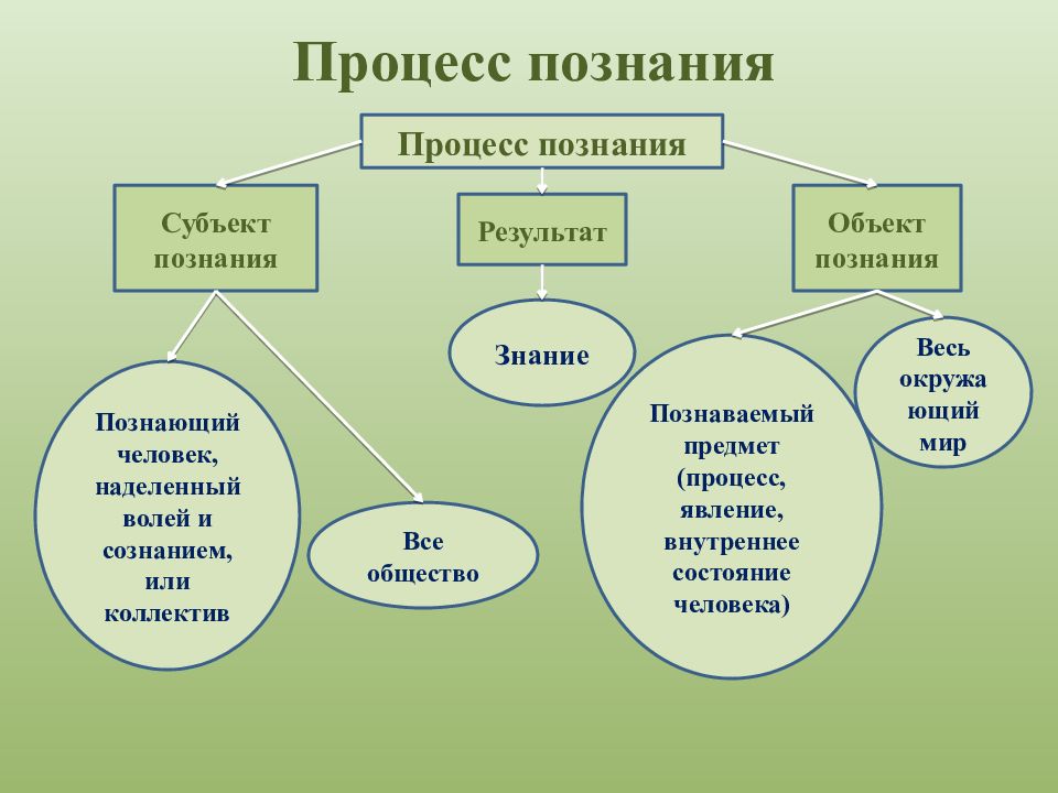 Сложный план на тему многообразие форм познания