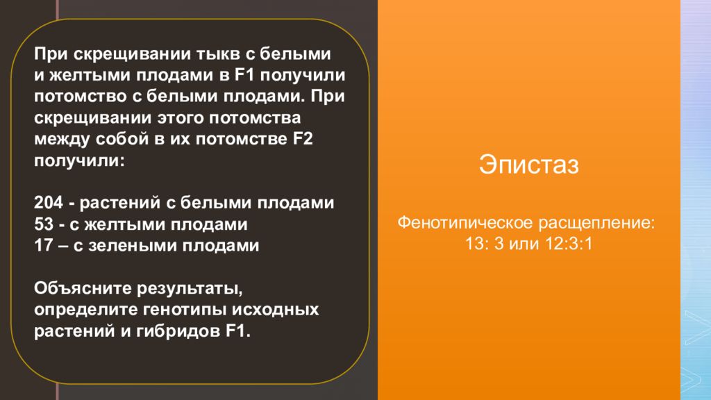 При скрещивании желтого. При скрещивании тыкв с белыми плодами. При скрещивании тыкв. При скрещивании растений тыквы. При скрещивании 2 белых тыкв.