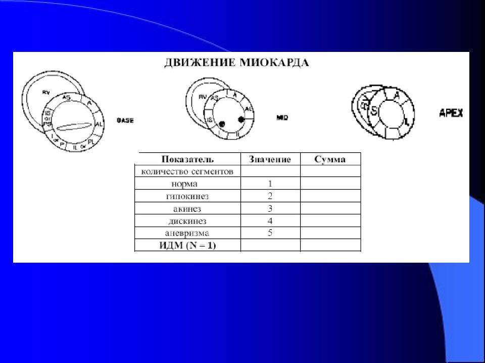 Сегменты миокарда левого желудочка схема