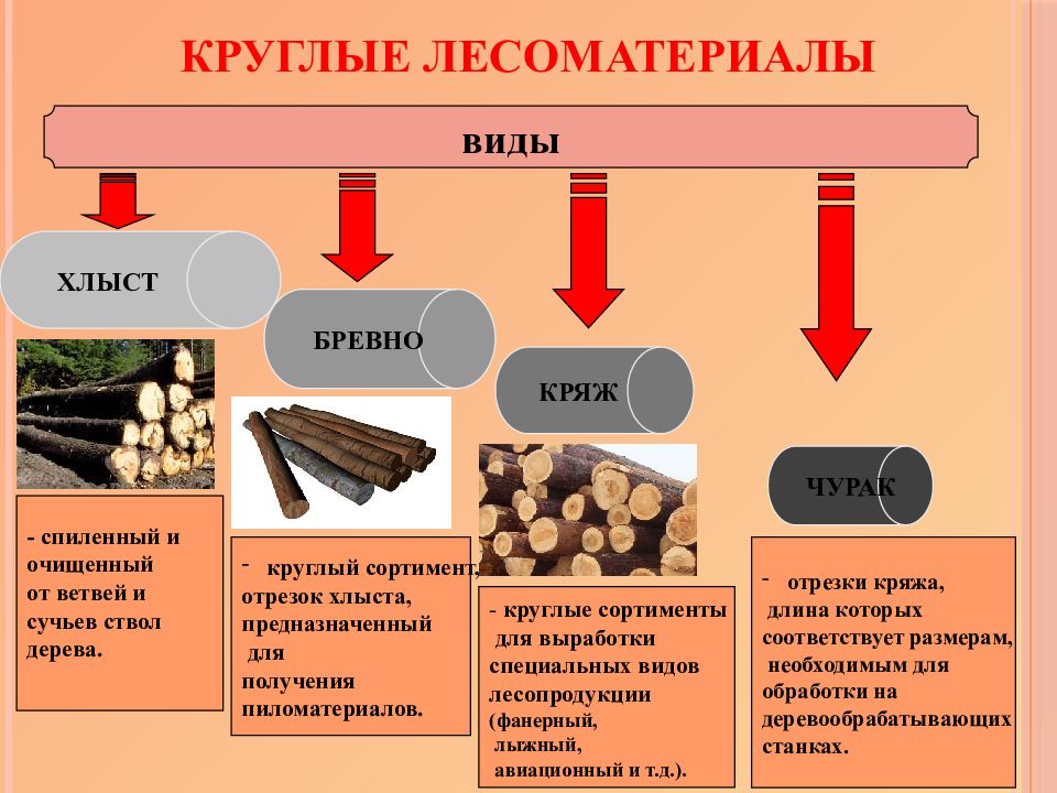 Что получают из дерева. Классификация круглых лесоматериалов. Классификация сортимента древесины. Классификация круглых лесоматериалов по качеству. Классификация и стандартизация лесных материалов.