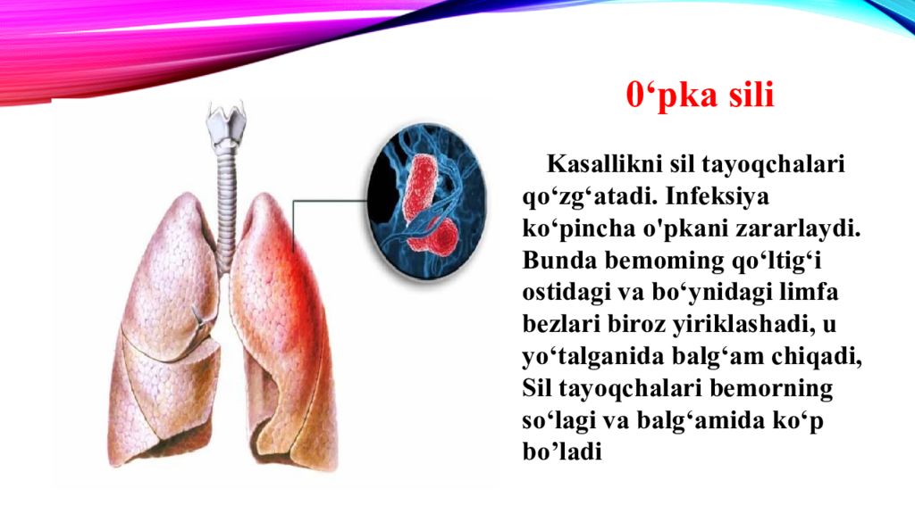nafas olishning boshqarilishi. Nafas olish organlari kasalliklari nafas olishning boshqarilishi. Nafas olish organlari kasalliklari