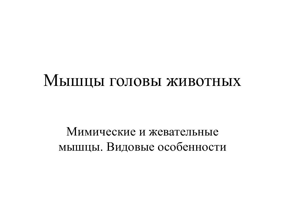 Мышцы головы животных