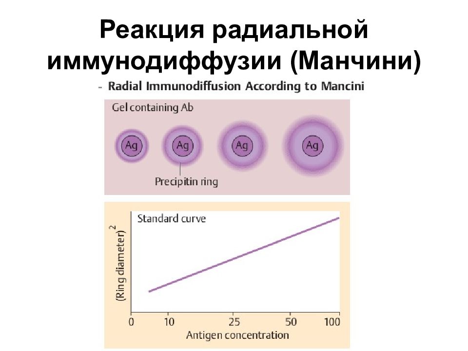 Двойная реакция. Метод радиальной иммунодиффузии по Манчини. Реакция радиальной иммунодиффузии по Манчини. Реакция радиальной иммунодиффузии. Реакция в геле радиальной иммунодиффузии по Манчини.