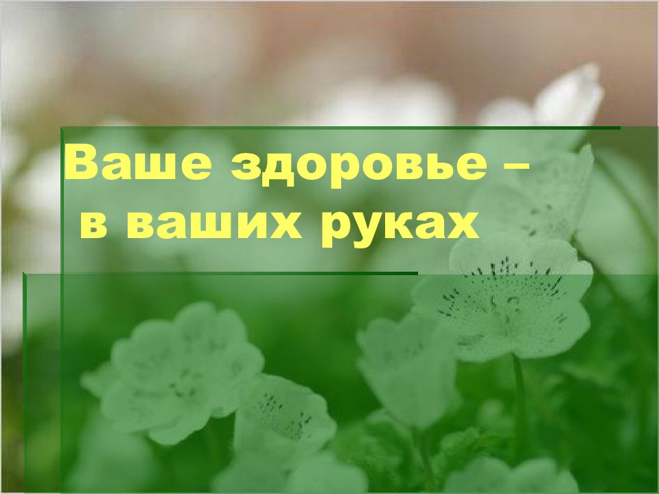 Ваша презентация. Наше здоровье в наших руках презентация. Картинка на слайд презентации наше здоровье в наших руках.