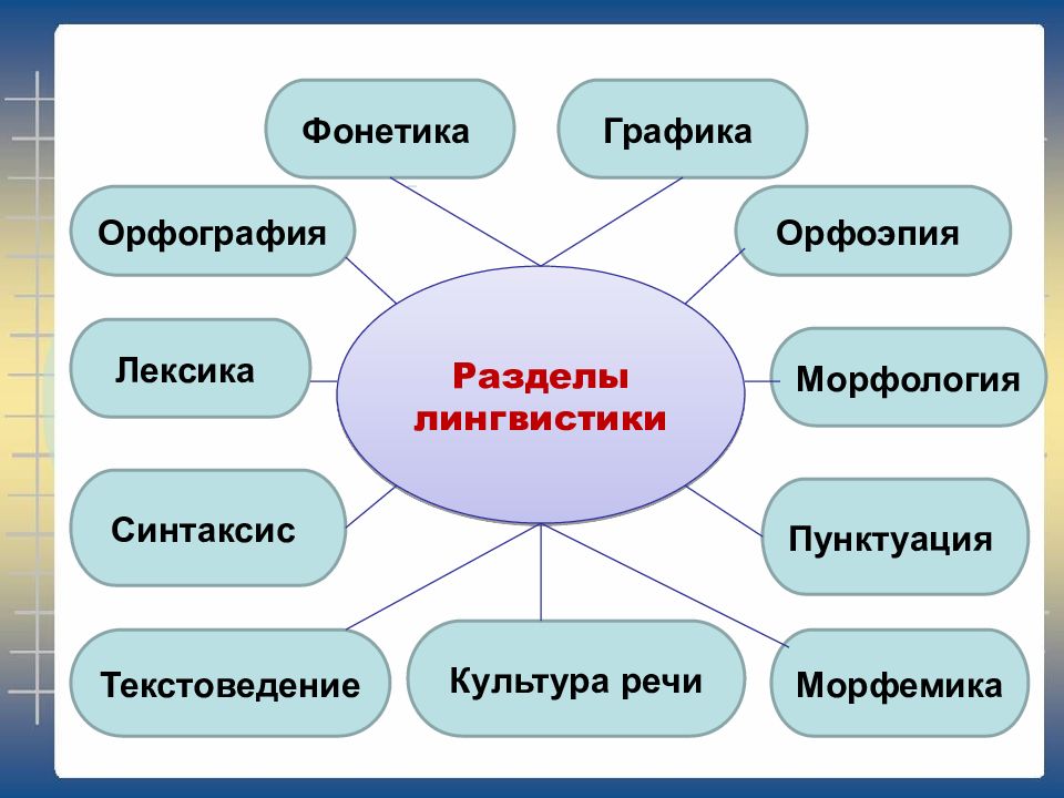 Презентация разделы русского языка 7 класс