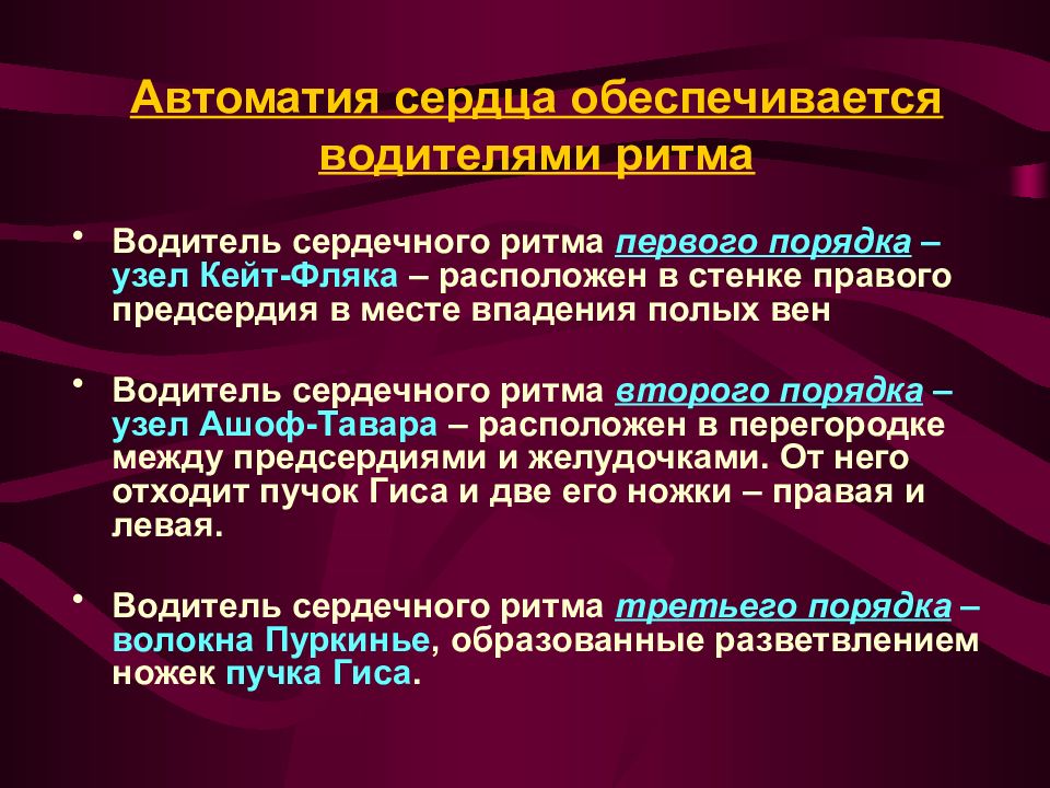 Водитель сердца. Автоматия сердца физиология. Автоматия это в физиологии. Теории автоматии. Автоматизм сердечной мышцы физиология.