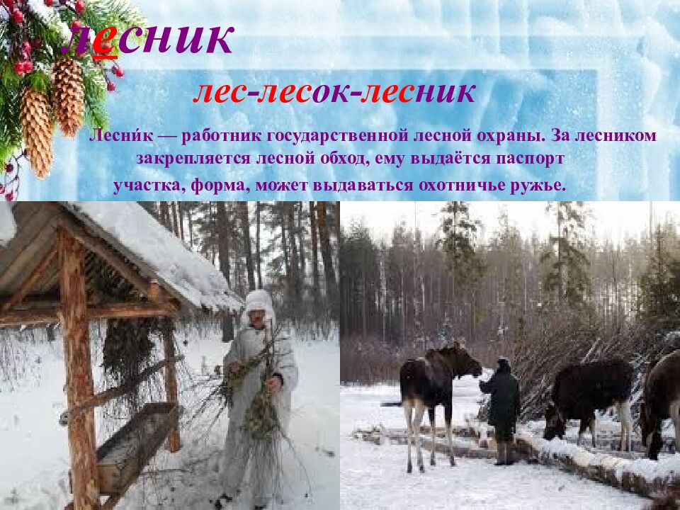 л е сник лес - лес ок- лес ник