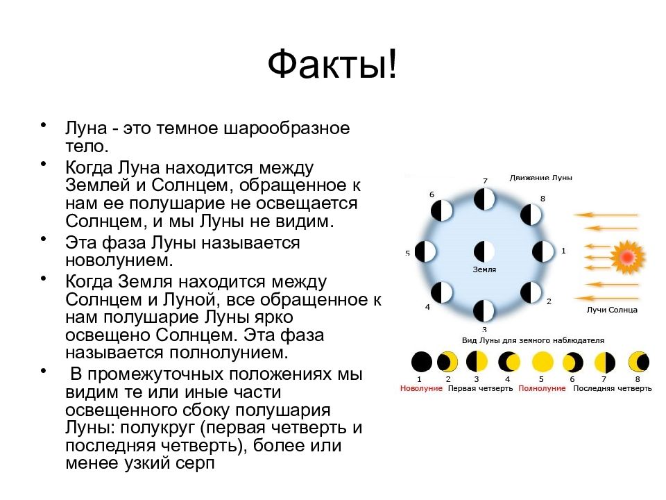 Как происходит смена лунных фаз рисунок