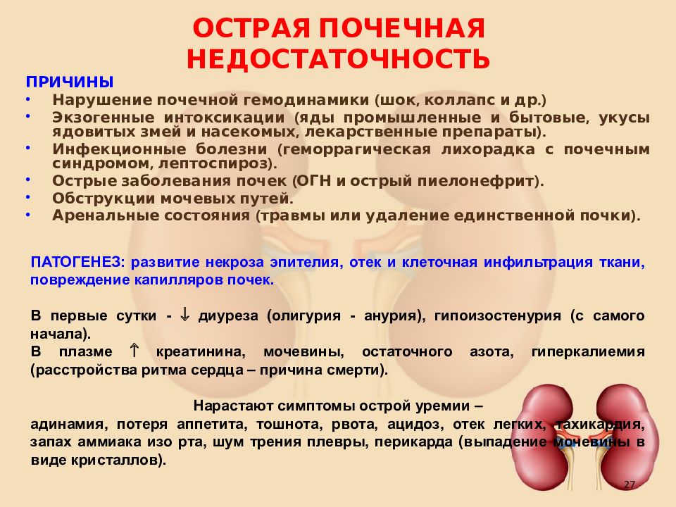 Опн хпн презентация