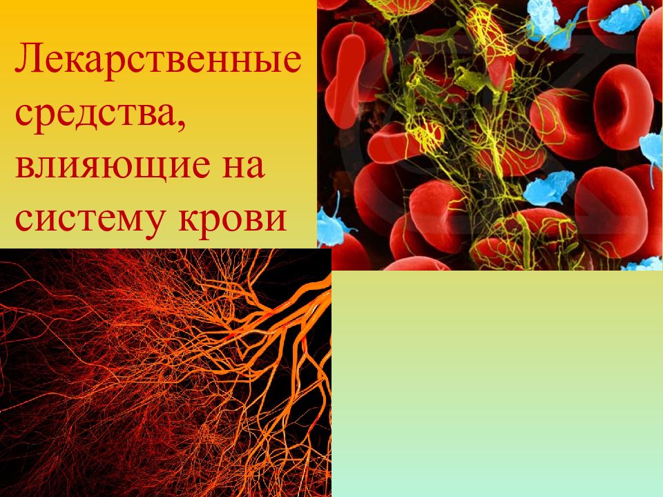 Лекарственные средства, влияющие на систему крови