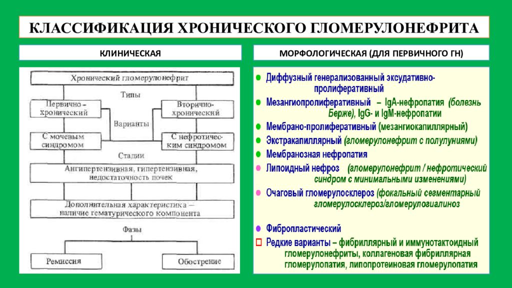 Гломерулонефрит клинические рекомендации. Морфологические формы острого гломерулонефрита. Клинико морфологические формы хронического гломерулонефрита. Морфологические варианты хронического гломерулонефрита. Клинико морфологическая классификация гломерулонефрита.