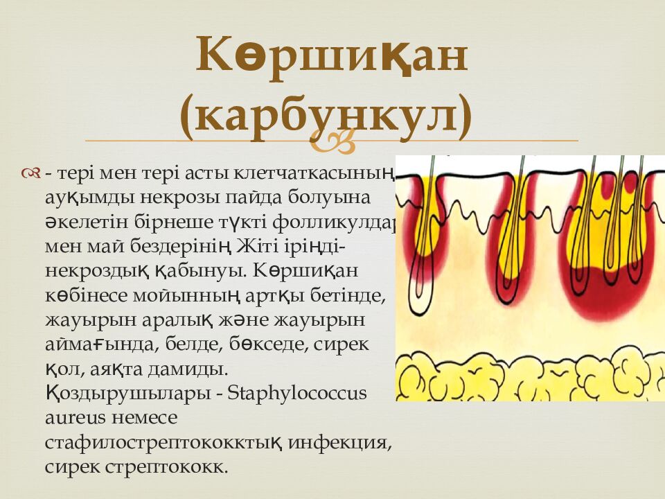 Көршиқан (карбункул)