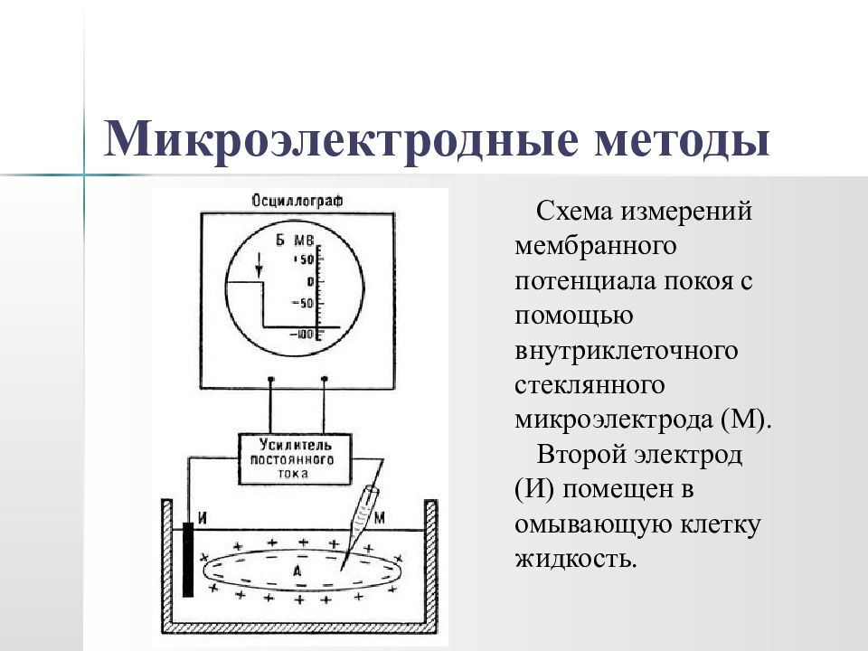 Измерение потенциала. Способы измерения мембранного потенциала. Микроэлектродный метод измерения мембранного потенциала. Методы измерения мембранного потенциала покоя. Методы измерения мембранного потенциала физиология.