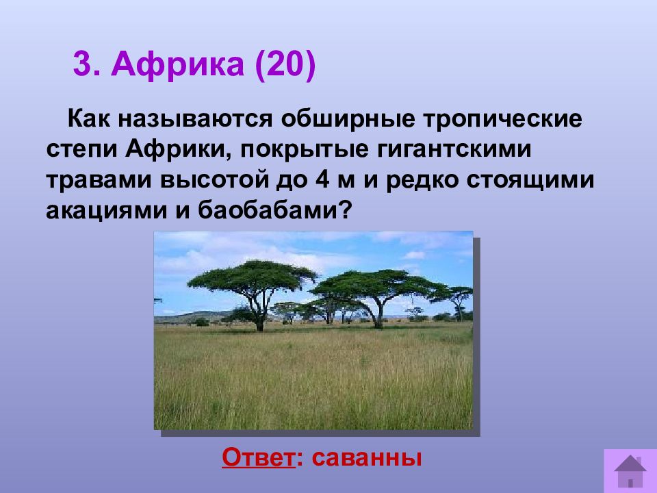Степь в тропиках. Как называют тропические степи?. Степи Африки характеристика. Сообщение о тропическом степи. Проект по географии 5 класс путешествие по местам.
