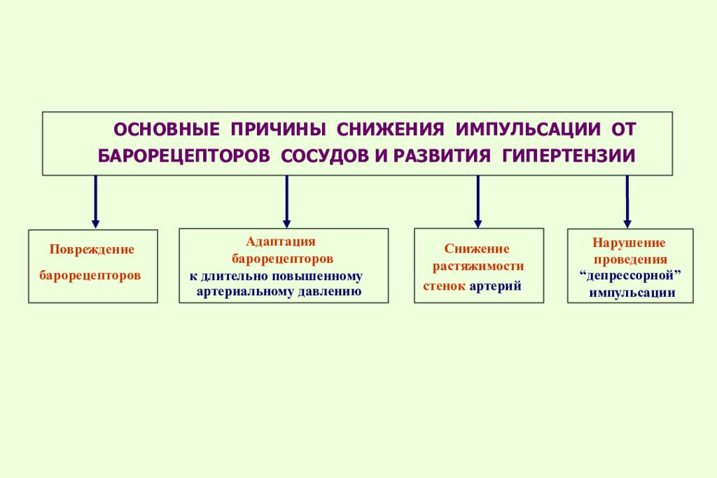 Нарушение проведения. Гипер и гипотензия артериальная. Причины и условия возникновения гипер- и гипотензий.. Причины гипер гипотензии. Артериальная гипотензия патофизиология.