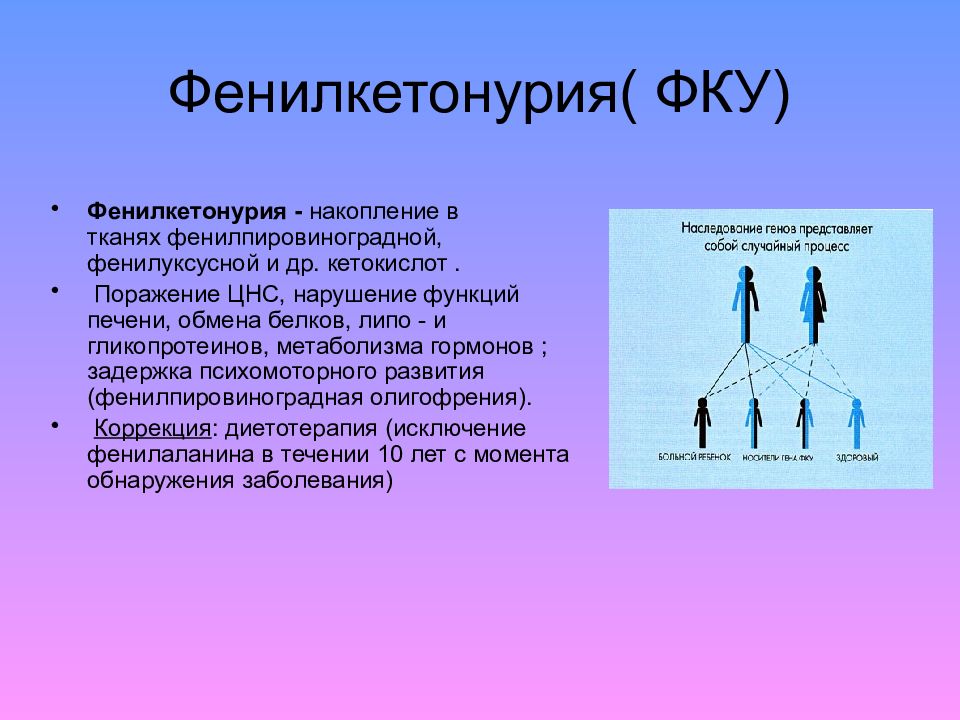 Презентация генетические основы поведения 10 класс беляев