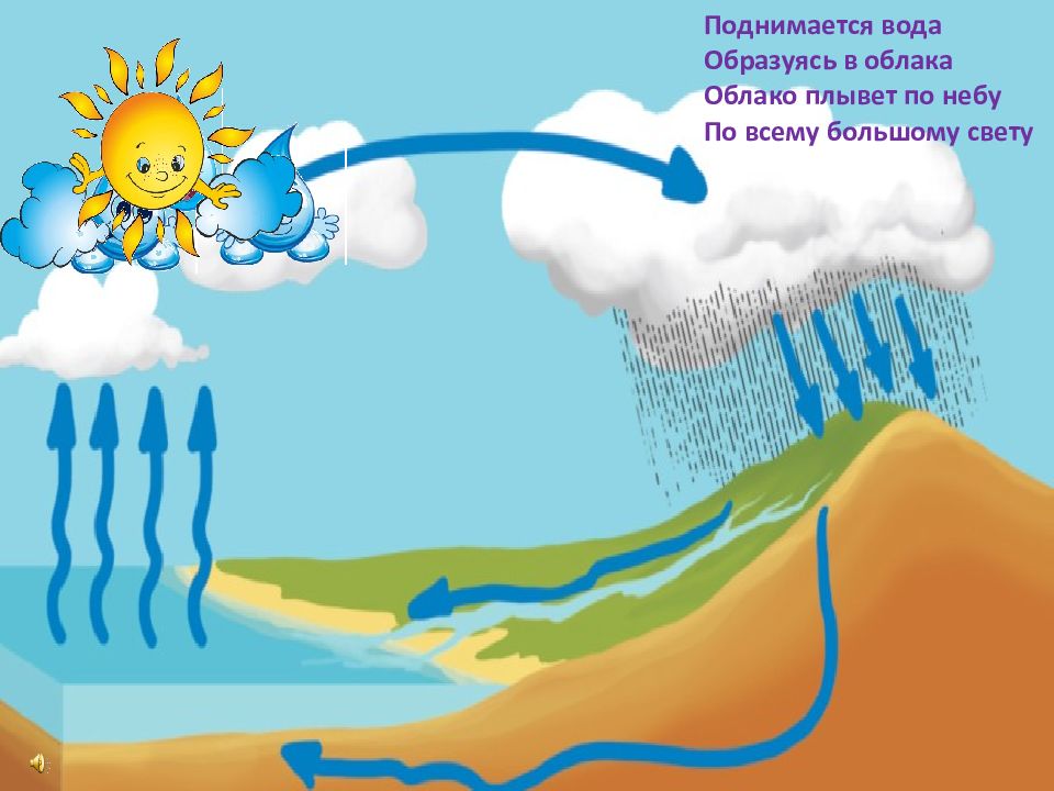 Рисунок как путешествовала капелька