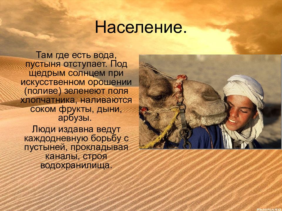 Как человек ведет хозяйство в пустыне план. Занятия людей пустыни. Занятия населения в пустыне. Занятия людей в пустынях. Население в пустынях.