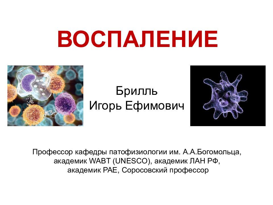 ВОСПАЛЕНИЕ Брилль Игорь Ефимович Профессор кафедры патофизиологии им.