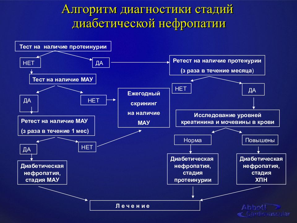 Диабетическая нефропатия презентация