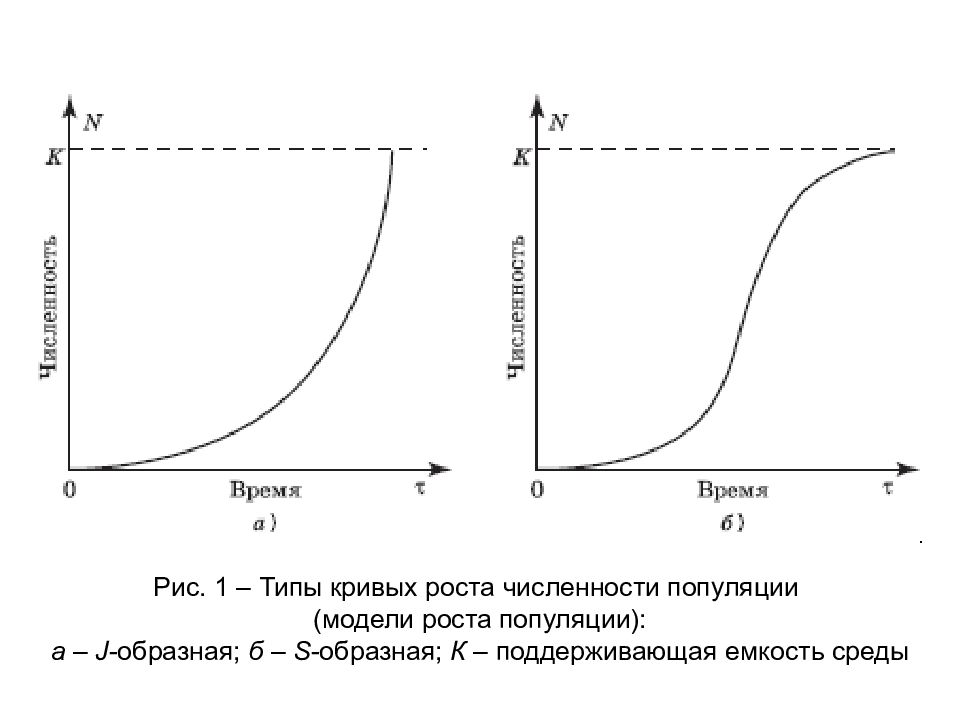 Рост популяции. Логистическая и экспоненциальная кривые роста. Экспоненциальная s образная кривая. Логистическая модель роста популяции. Экспоненциальная кривая роста популяции.