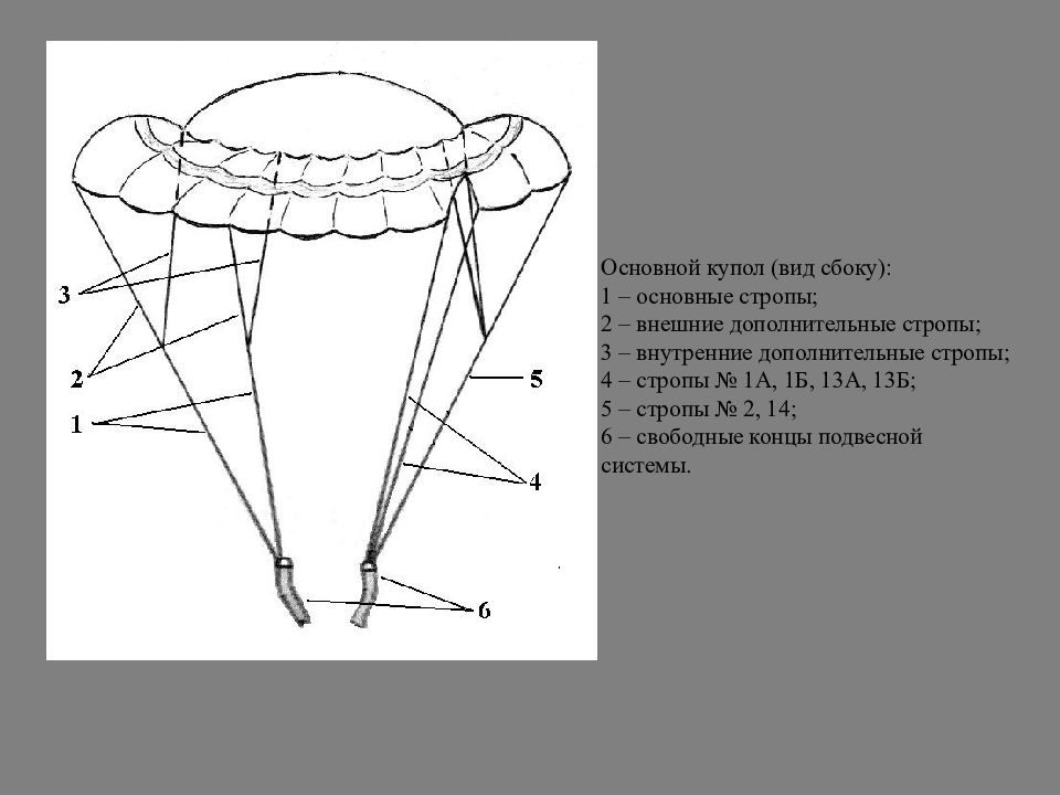 Сколько строп. Стропы парашюта д 10. Парашют д10 схема. Из чего состоит парашют д10. Стропы и купол Парашютной системы д 10.