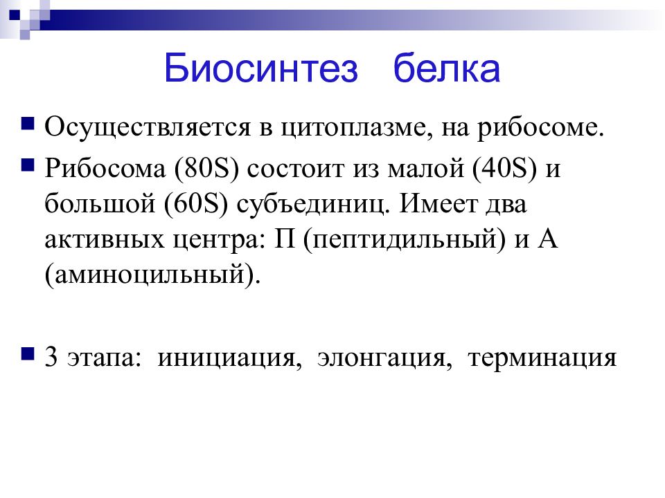 Состоять з. Биосинтез белка вывод. Биосинтез белка заключение. Презентацию Биосинтез белка заключение. Значение биосинтеза белка.