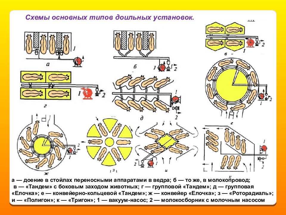 Доильная установка карусель схема