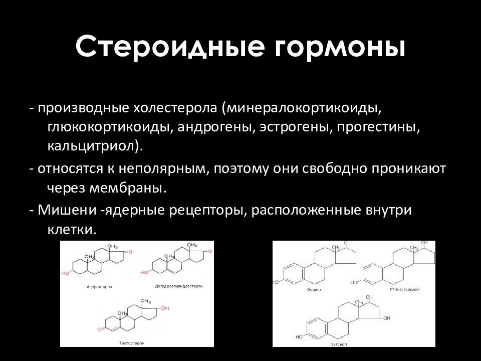 Свободные андрогены у мужчины