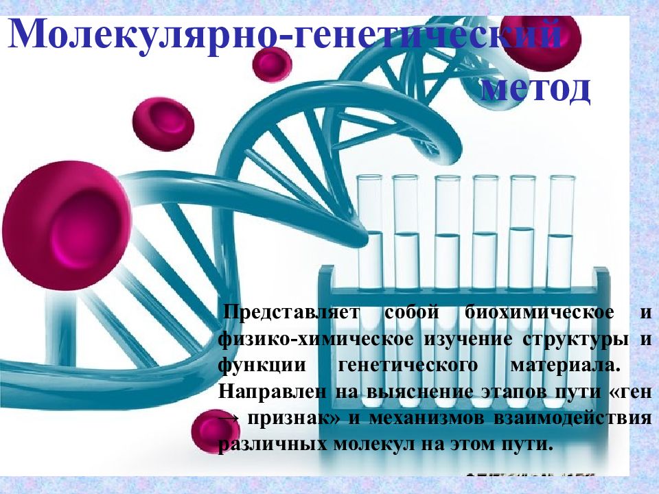 Презентация по теме методы изучения наследственности человека