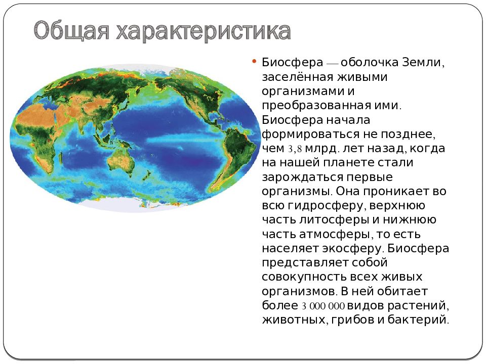 Биосферный уровень общая характеристика. Биосфера земли. Охарактеризуйте биосферу земли. Особенности биосферы. Характеристика биосферы схема.