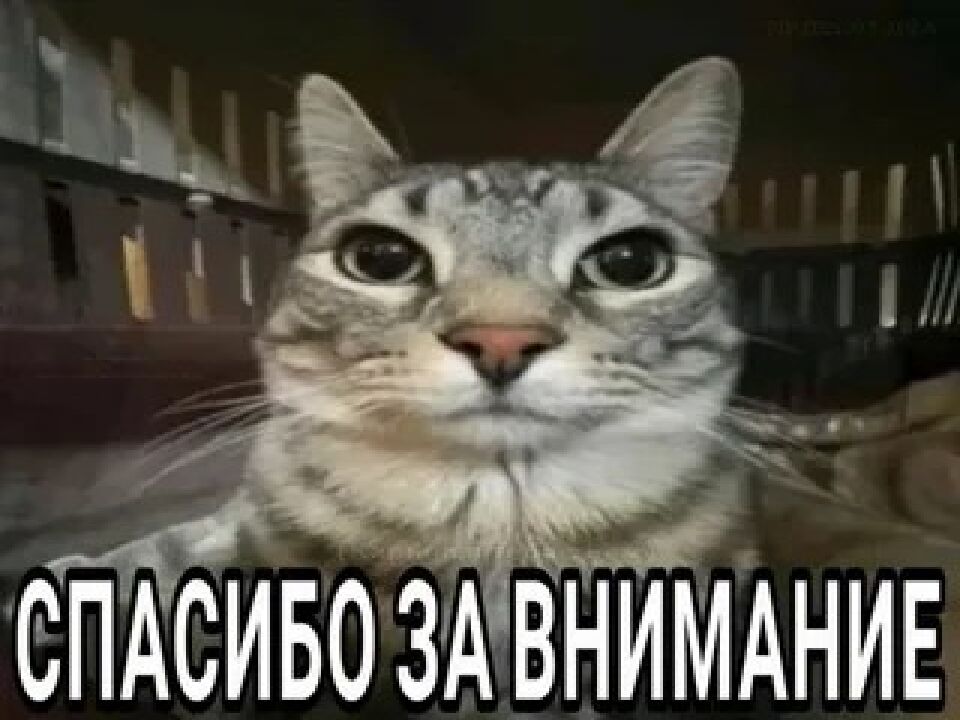 Презентация на тему : Правовые отношения