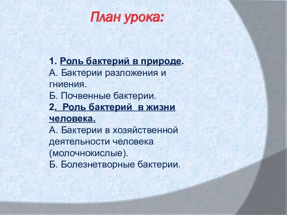 Роль бактерий в природе и жизни человека презентация 7 класс