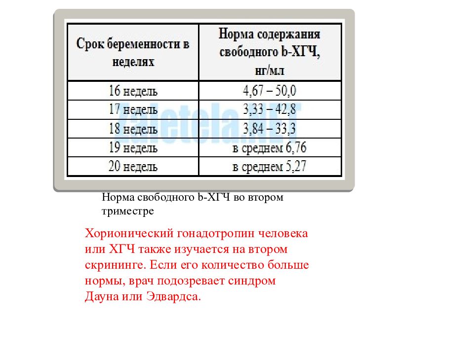 Кости носа 20 недель