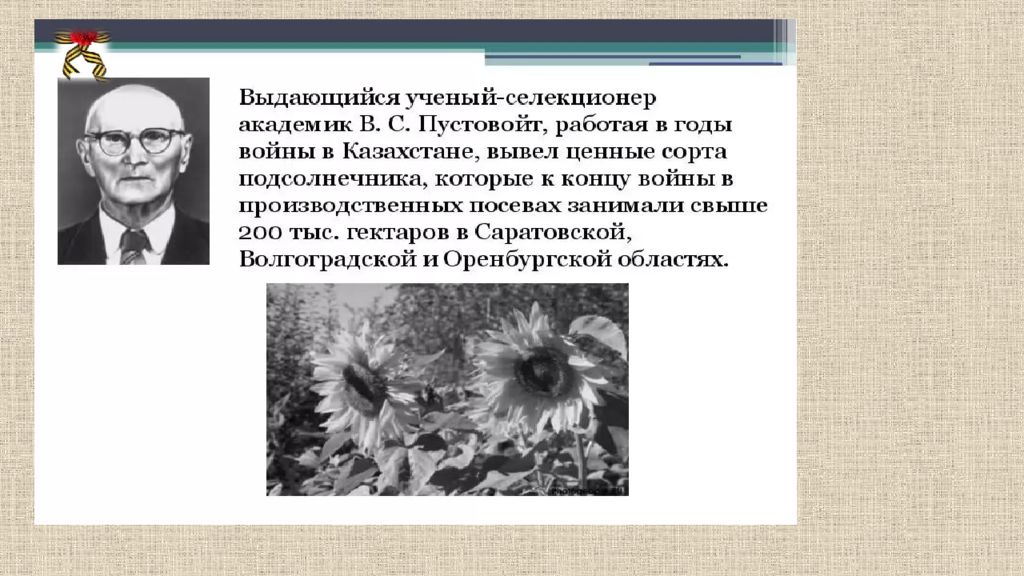 Ученый биологии сообщение. Ученые внесшие вклад в биологию. Ученый-селекционер Пустовойт в.с.. Ученые селекционеры биология. В С Пустовойт достижения в биологии.