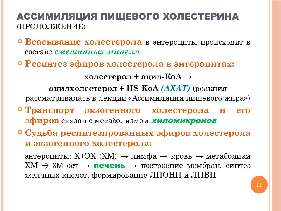 Ассимиляция липидов тканями. Ассимиляция пищевого холестерина. Ассимиляция липидов. Этапы ассимиляции холестерина. Ассимиляция пищевых жиров.