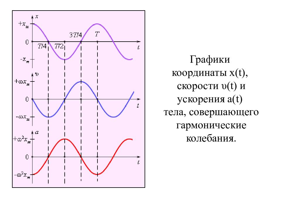 График координаты ускорения. Графики скорости ускорения и силы при гармонических колебаниях. График скорости при гармонических колебаниях. Графики скорости и ускорения при гармонических колебаниях. Скорость и ускорение тела совершающего гармонические колебания.