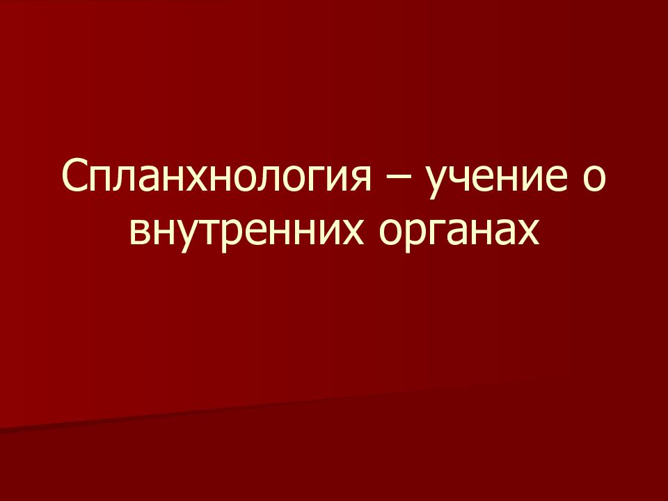 Спланхнология – учение о внутренних органах