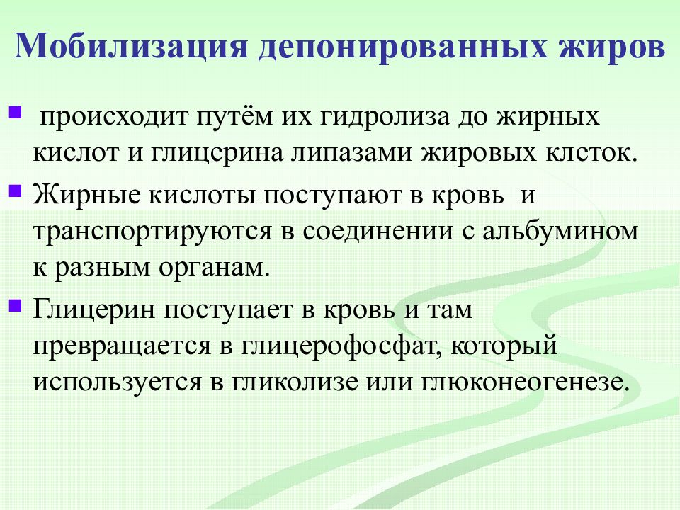 мобилизация жиров. процесс мобилизации жира. мобилизация жиров. липолиз таг в жировой ткани. мобилизация жиров.