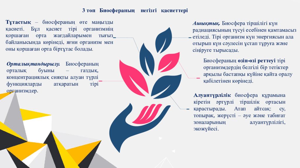 Қайырлы күн,оқушылар!