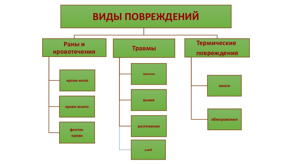 ВИДЫ ПОВРЕЖДЕНИЙ Раны и кровотечения крови мало крови