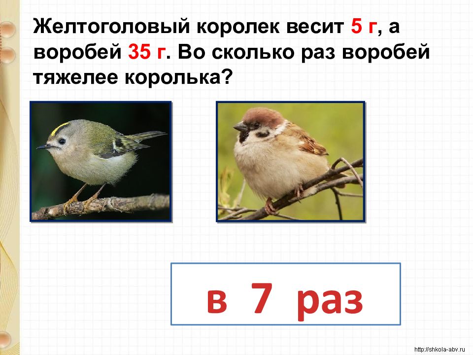 Сколько весит воробьев. Сколько весит Воробей. Вес воробья. Сколько весит Воробей птица. Размер воробья.