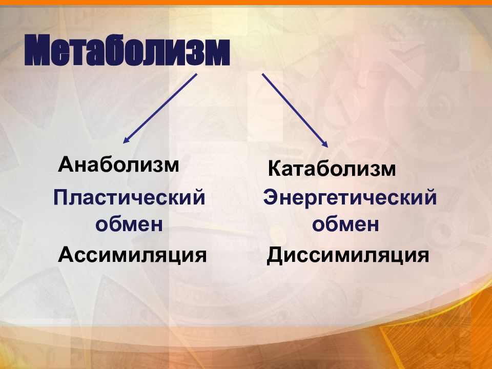 В процессе пластического обмена. Метаболизм катаболизм и анаболизм энергетический и пластический. Пластический обмен катаб. Пластический обмен анаболизм ассимиляция. Метаболизм презентация.