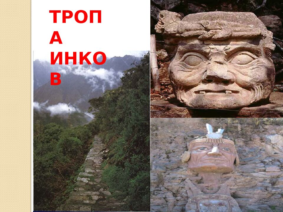 Население и страны Южной Америки