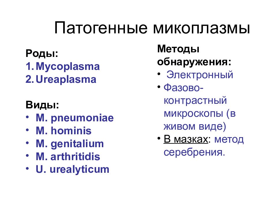 Mycoplasma ureaplasma