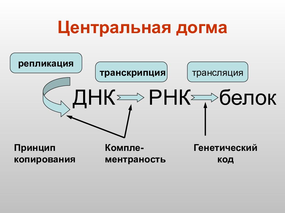 Рассмотрите предложенную схему классификации реакций матричного синтеза