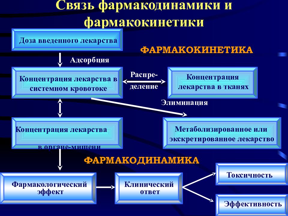 Презентация на тему фармакокинетика и фармакодинамика