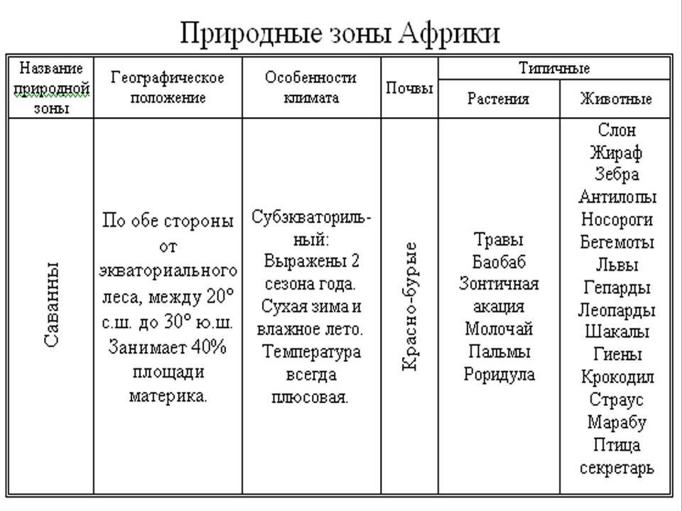 Природные зоны африки презентация 7 класс география