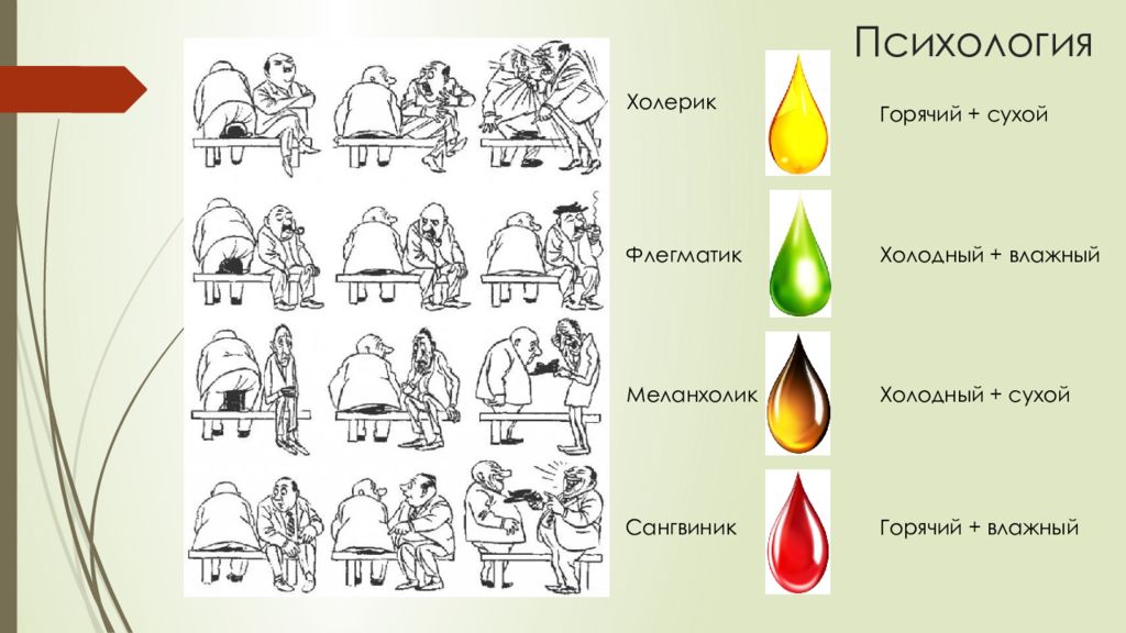 Сангвиник меланхолик картинки