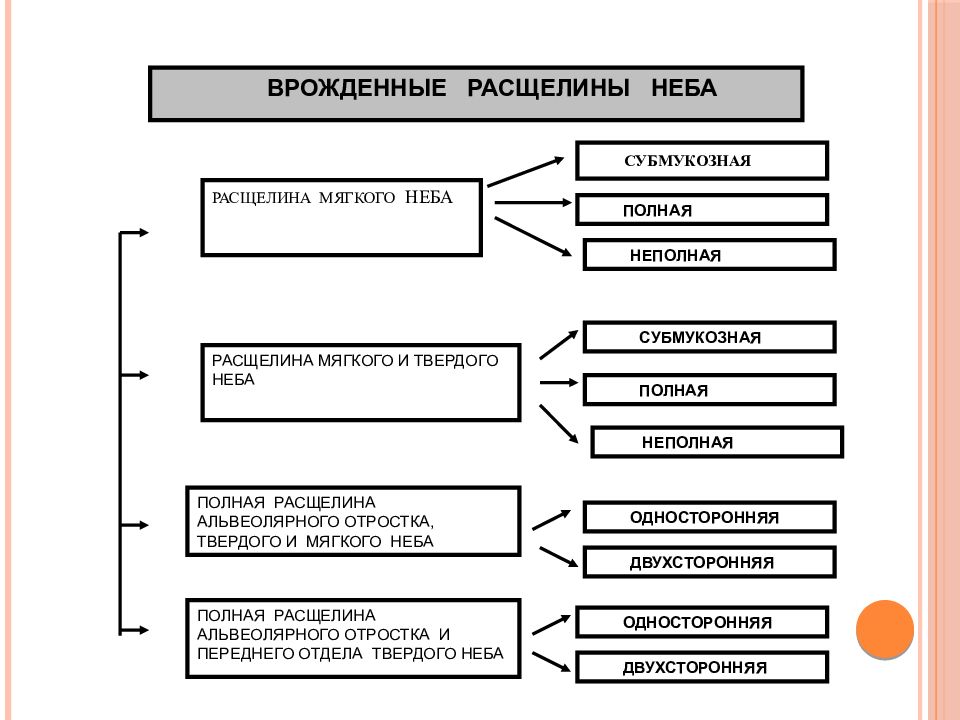 Виды расщелин губы и неба при ринолалии схема